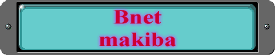 Bnet makiba 